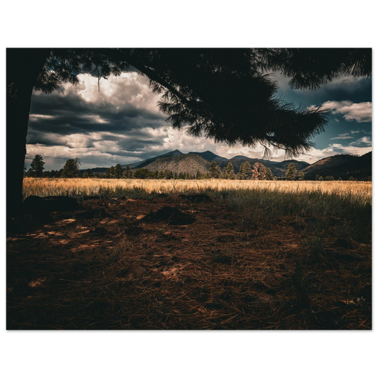1dd4b330-d3d7-4bec-a46d-d78f2018b02f