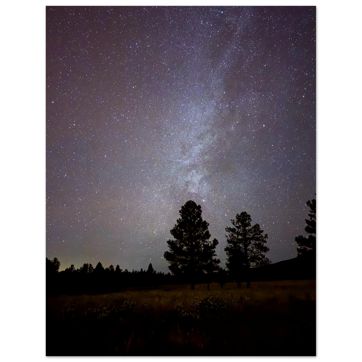 Milky Way above silhouetted pine trees at night in Flagstaff Arizona – MilkyWay Tree fine art photograph