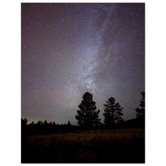 Milky Way above silhouetted pine trees at night in Flagstaff Arizona – MilkyWay Tree fine art photograph