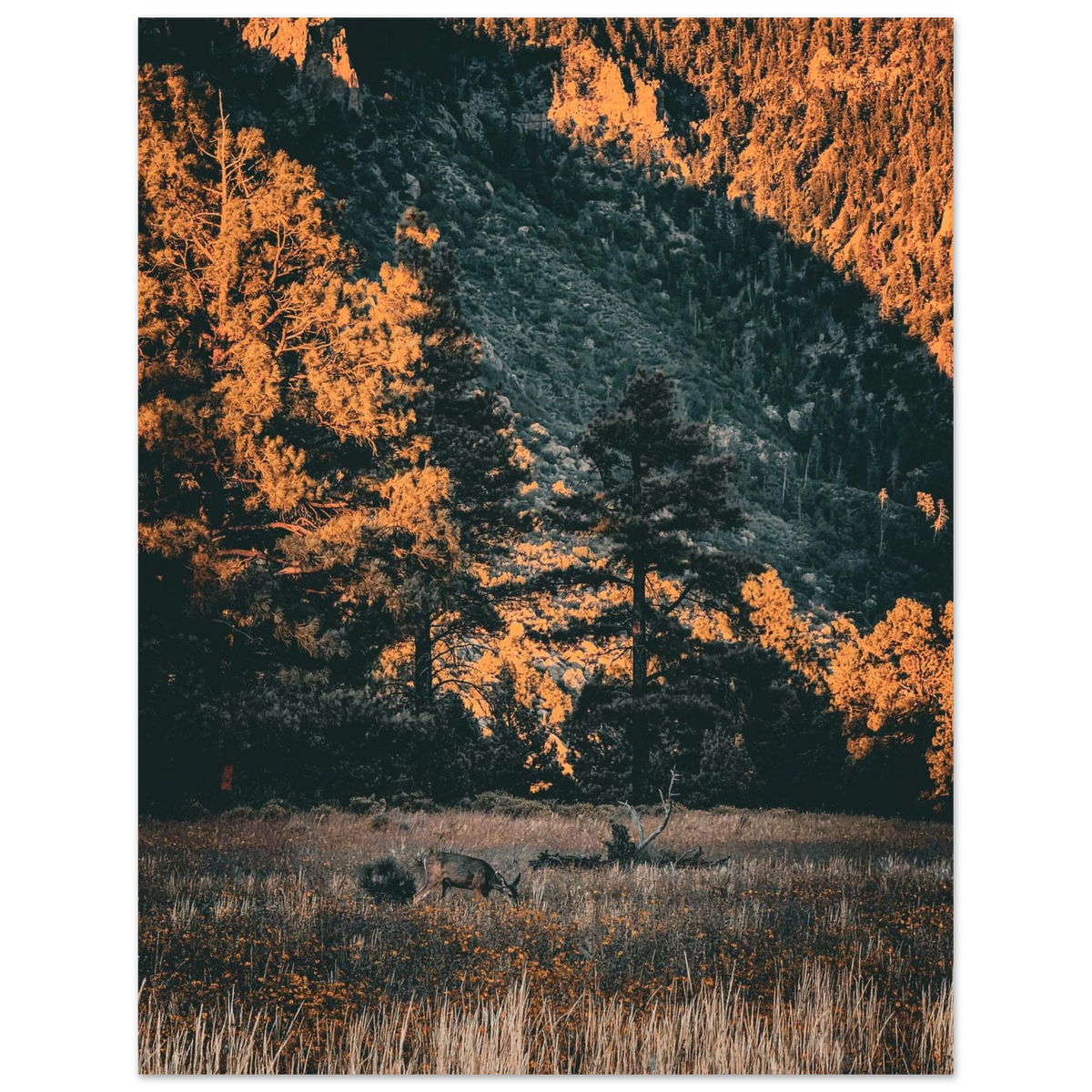 4cda34b6-15d6-42a5-a7b0-97ea083a9beb