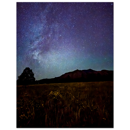 Milky Way and star-filled night sky above the mountains and meadow in Flagstaff, Arizona