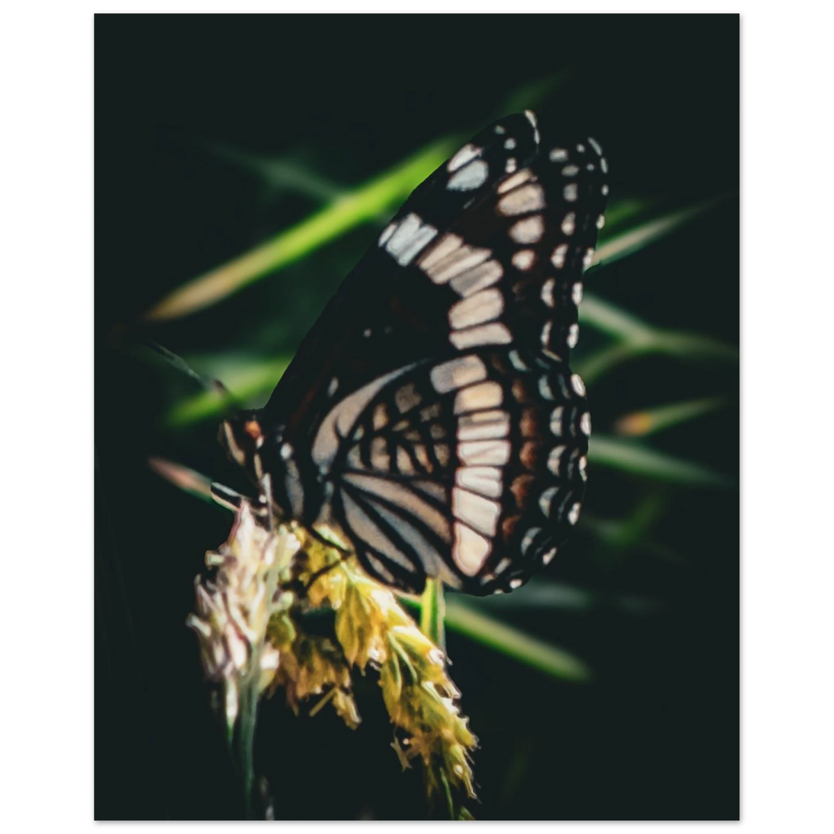 e19e691f-b194-45e9-8b06-e6ecb941c459