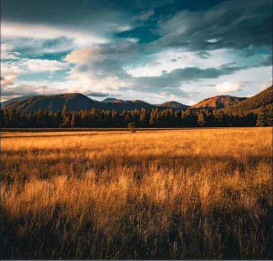 Golden-hour light across a mountain meadow beneath dramatic clouds, reflecting hope, connection, and finding what truly matters.