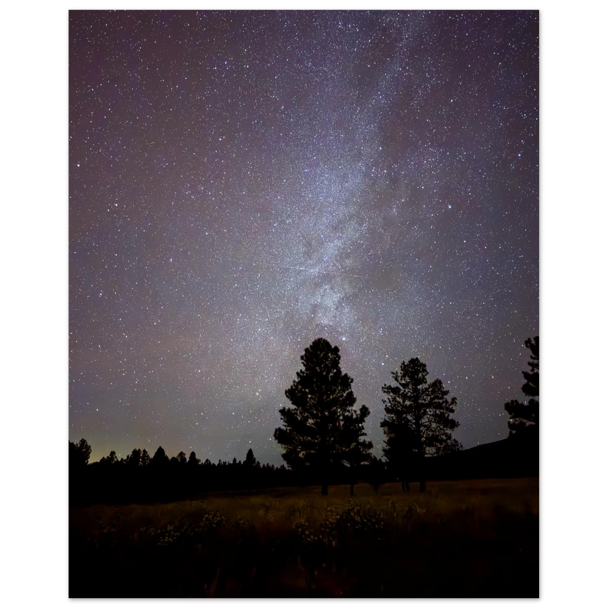 Milky Way above silhouetted pine trees at night in Flagstaff Arizona – MilkyWay Tree fine art photograph
