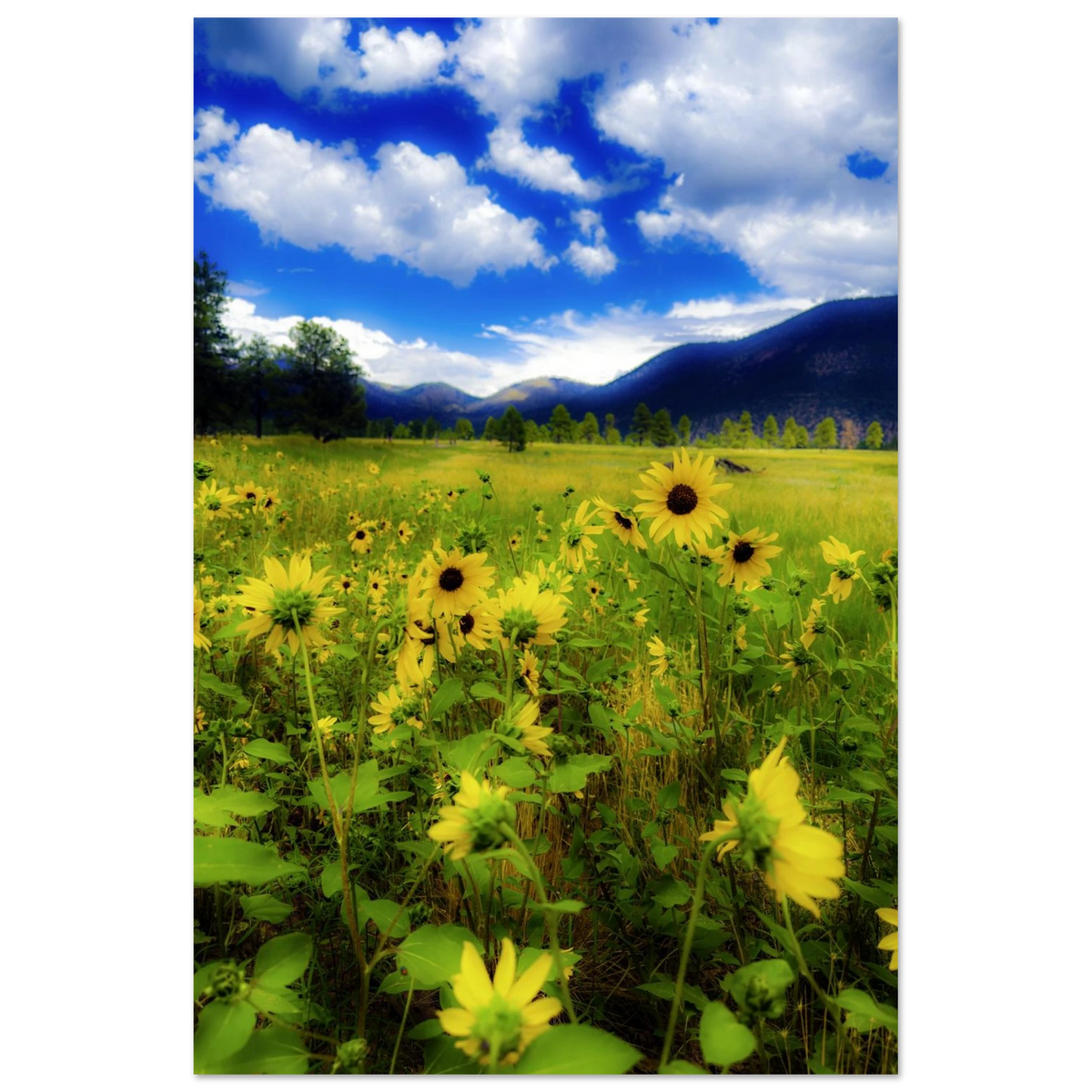 0e538d15-7780-4b7d-873e-beefca4bb6ad