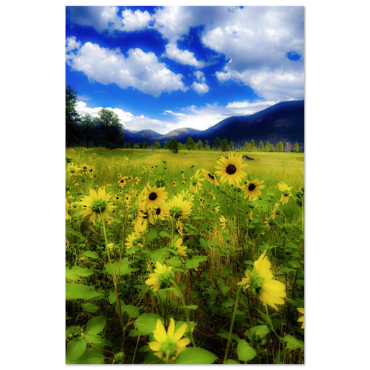 0e538d15-7780-4b7d-873e-beefca4bb6ad