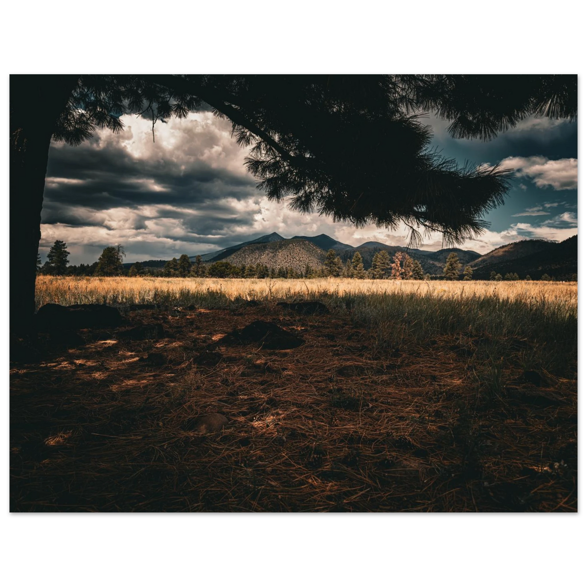 1dd4b330-d3d7-4bec-a46d-d78f2018b02f