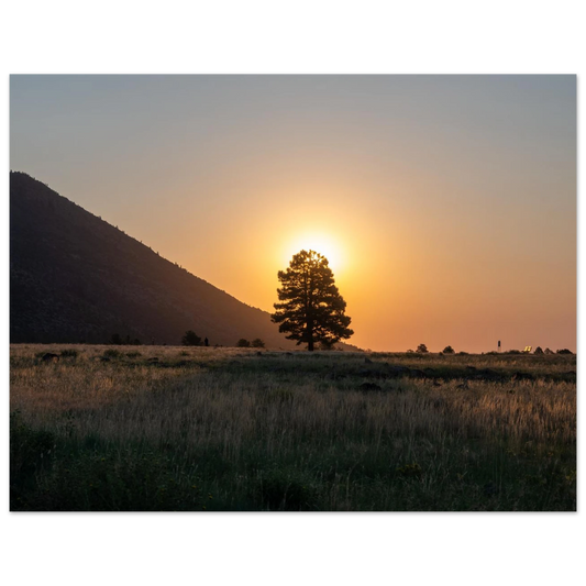 2791db08-05d3-49c7-9934-b994e6758f4f