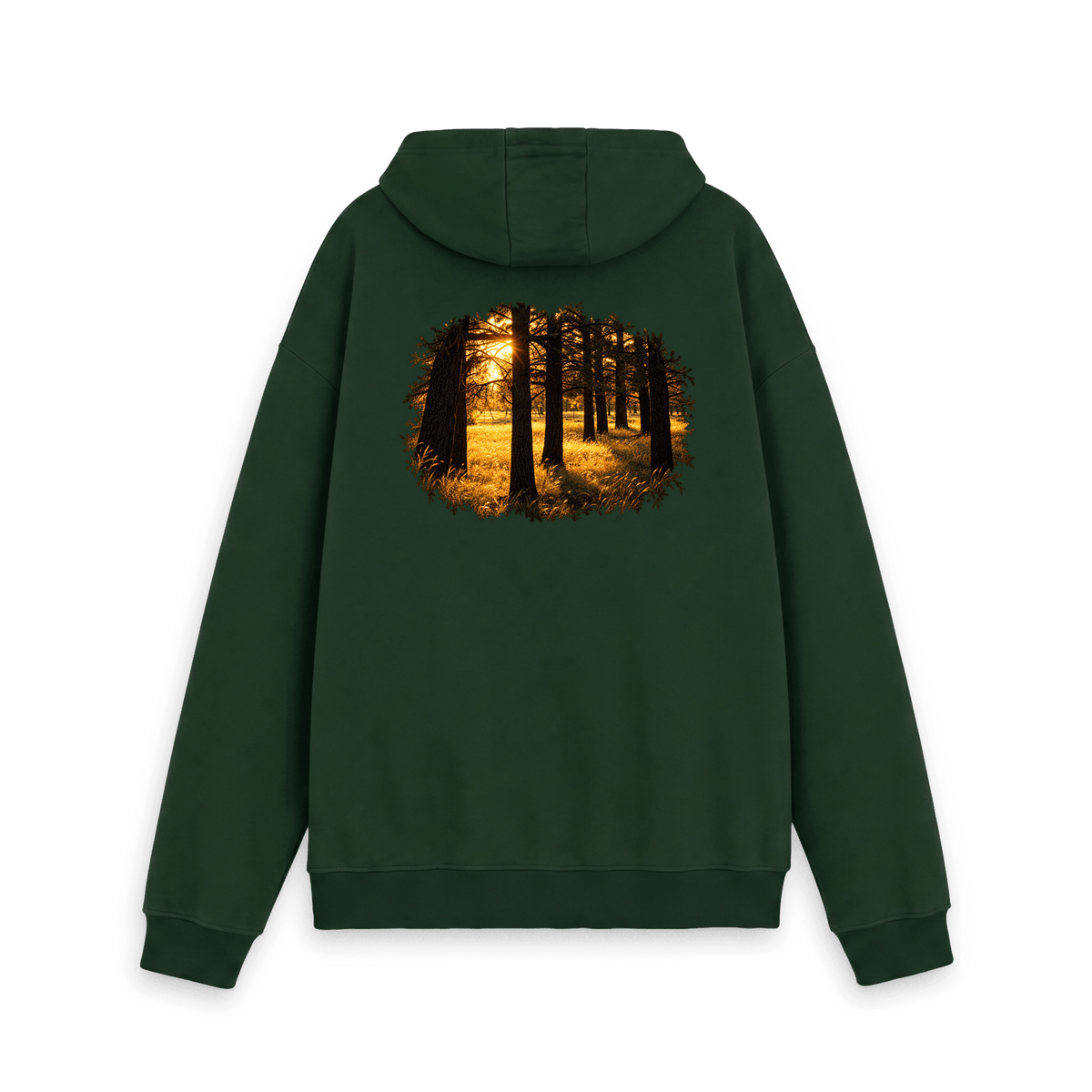Golden Forest artwork featuring warm golden sunlight streaming through forest trees, created from original photography