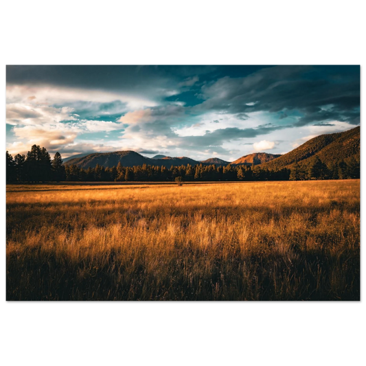 Golden-hour light across a mountain meadow beneath dramatic clouds with mountains in the distance