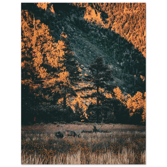 4cda34b6-15d6-42a5-a7b0-97ea083a9beb