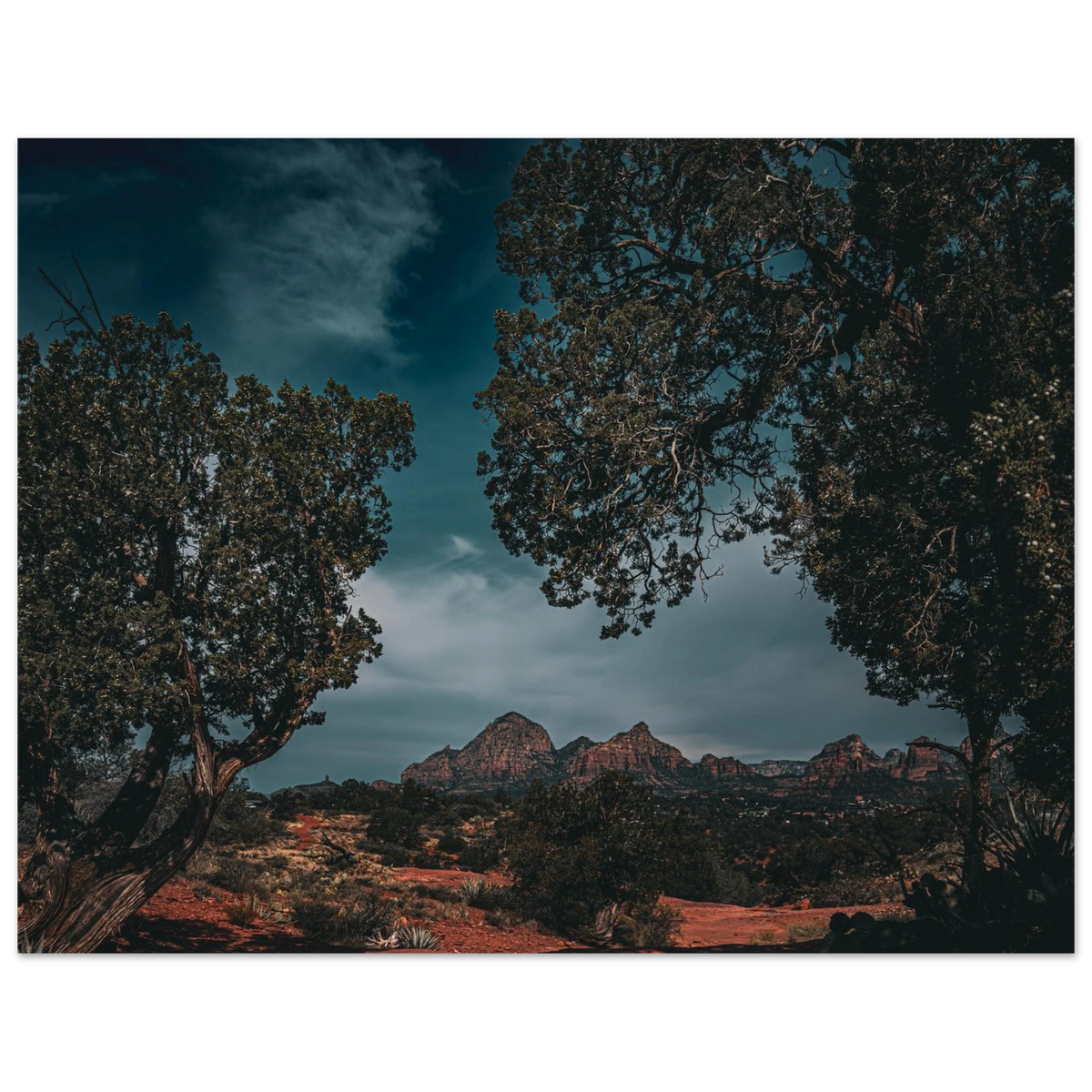 5cfde5f3-8e00-4e7d-96fc-f4aeeee8b462