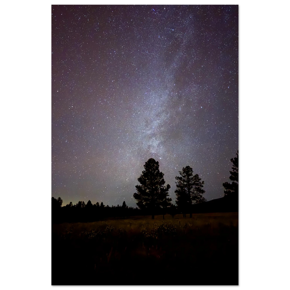 Milky Way above silhouetted pine trees at night in Flagstaff Arizona – MilkyWay Tree fine art photograph