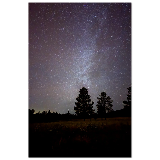 Milky Way above silhouetted pine trees at night in Flagstaff Arizona – MilkyWay Tree fine art photograph