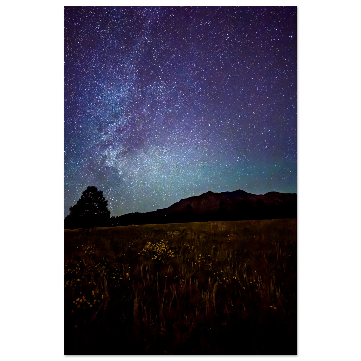 Milky Way over mountain peaks and a wildflower meadow in Flagstaff, Arizona at night