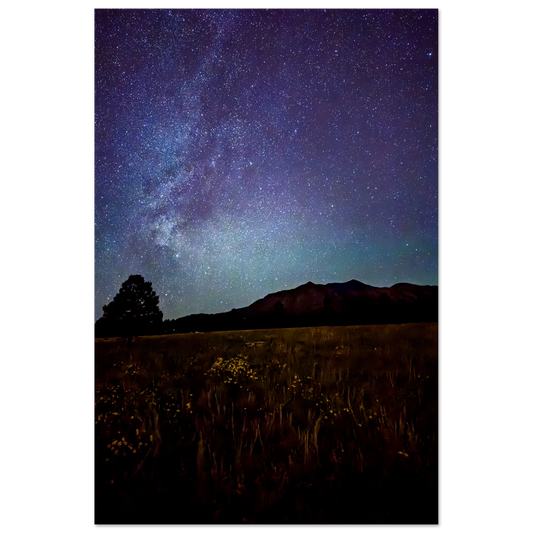 Milky Way over mountain peaks and a wildflower meadow in Flagstaff, Arizona at night