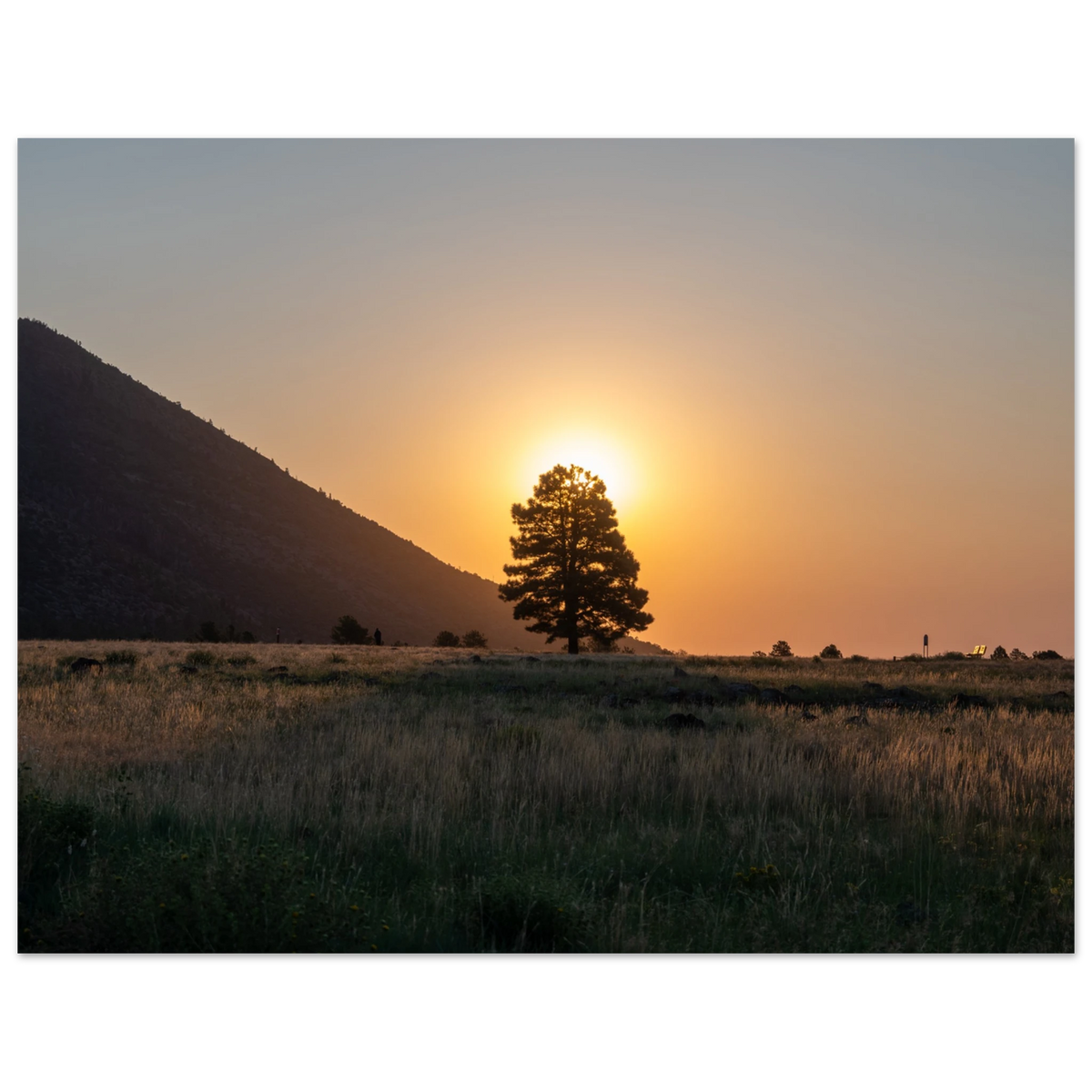 78a92023-8aff-46d6-8e0a-1d3a96d98f71