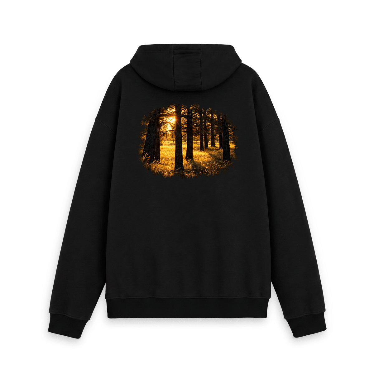 Golden Forest artwork featuring warm golden sunlight streaming through forest trees, created from original photography
