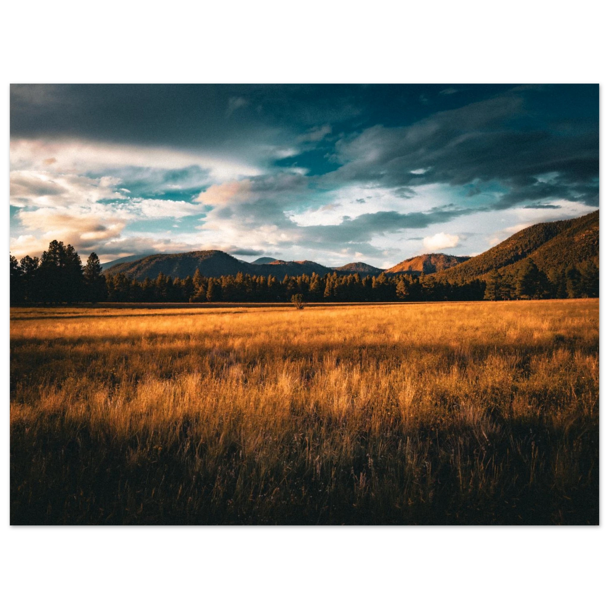 a83f9f34-5422-4c84-b070-5e72d22bb5d1