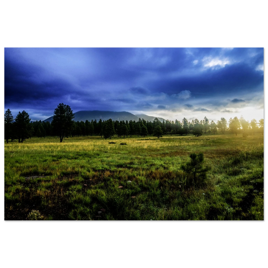 bd90a59f-d3f0-4fff-b3c9-492bb6746ca8