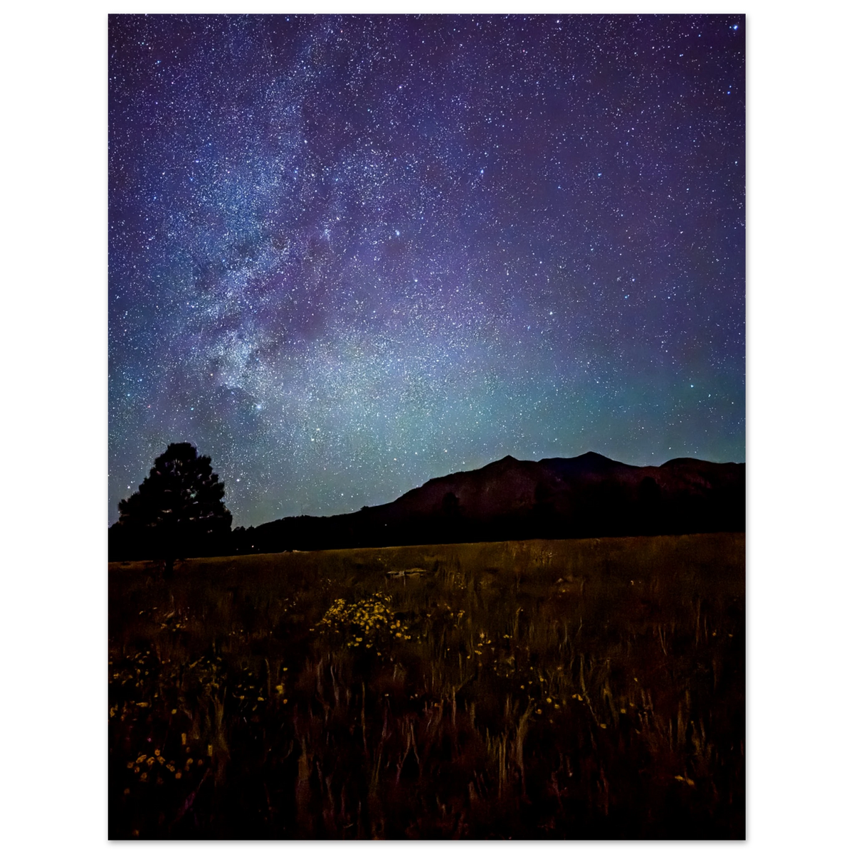 Milky Way and star-filled night sky above the mountains and meadow in Flagstaff, Arizona