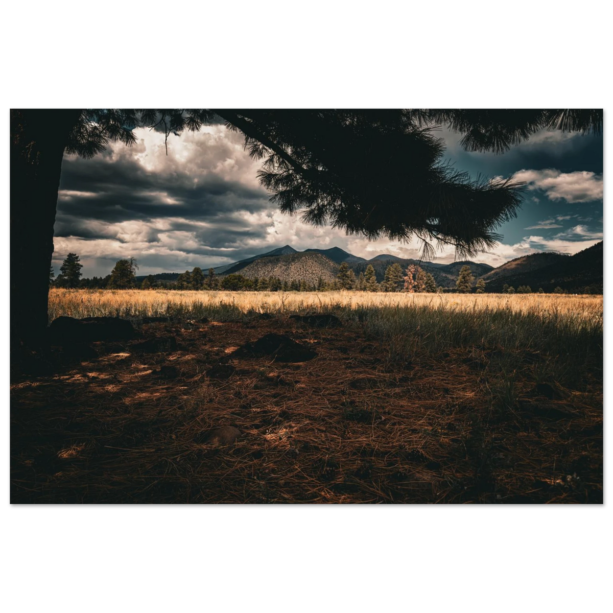 d7991b3d-d5ce-4e42-a7e7-bc541fa1ac73