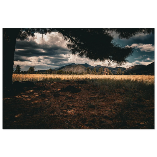 d7991b3d-d5ce-4e42-a7e7-bc541fa1ac73