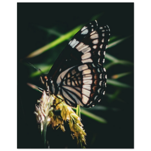 e19e691f-b194-45e9-8b06-e6ecb941c459