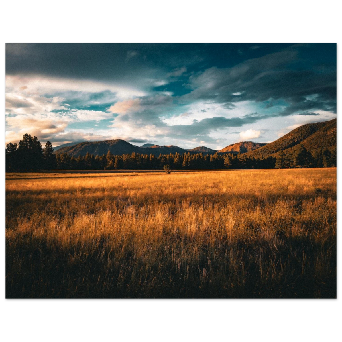 f06ef54b-6129-46ca-9f90-9ae0f086d62c