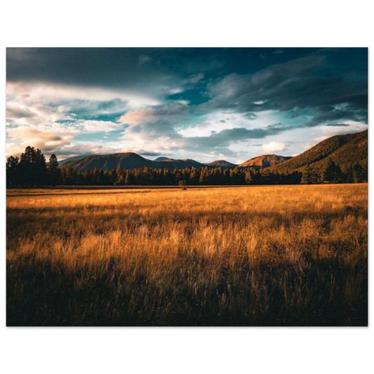 f06ef54b-6129-46ca-9f90-9ae0f086d62c