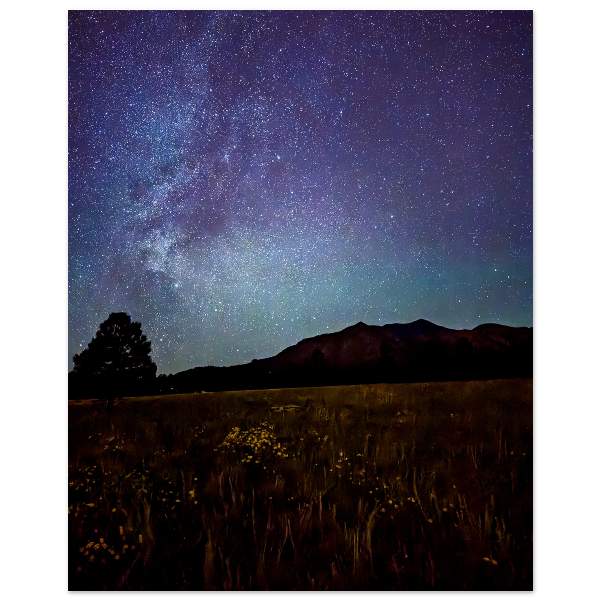 Fine art night photography of the Milky Way glowing above a Flagstaff, Arizona mountain landscape
